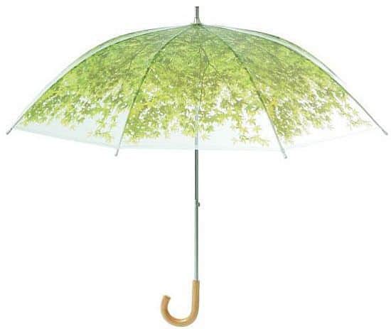 Komorebi Umbrella