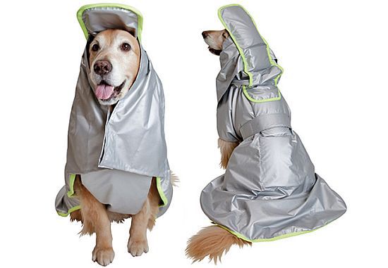 disaster-proof coat for dog