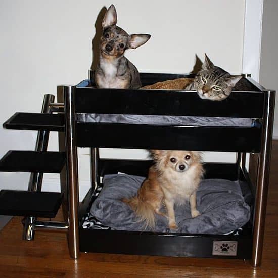Metropolitan Pet Bunk Bed