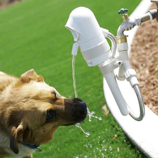 Sonar-Sensing Automatic Pet Fountain