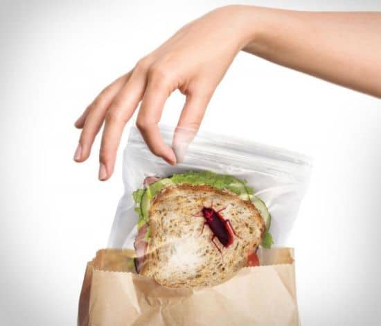 Sandwich Bags With Bugs