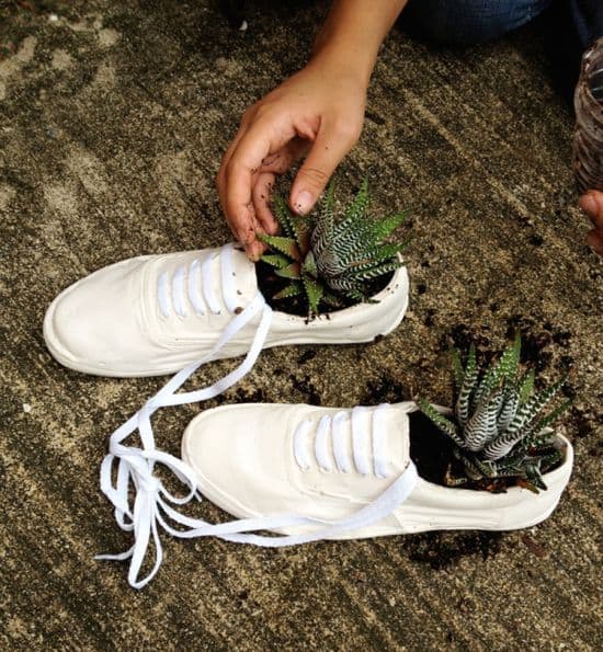 Shoe Planters by American Design Club