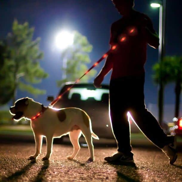 Lighted LED Dog Leash by Dog-E-Glow