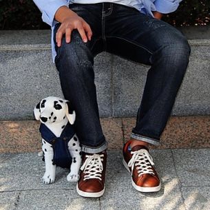 denim-style-trousers-for-dogs