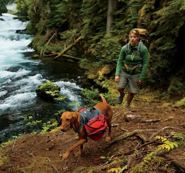 Ruffwear Palisades Pack