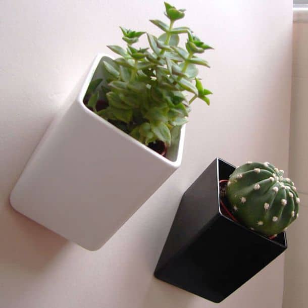 Off The Wall Planter