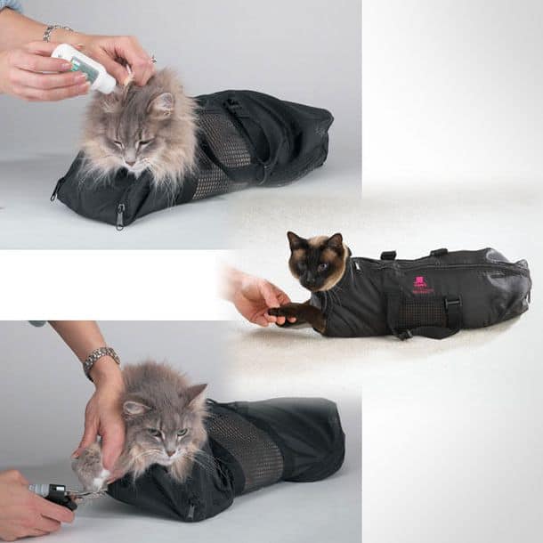 Cat Straight Jacket and Muzzle