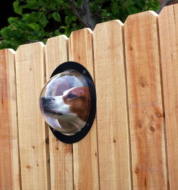Pet Peek Fence Window For Dogs