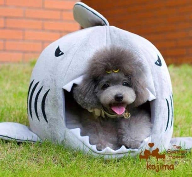 Домик для собаки «Акула»