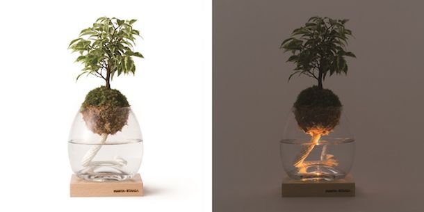 Декоративная лампа с комнатными растениями Torch Plant