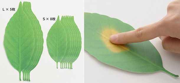 Набор бумажных термометров в виде листьев ясеня