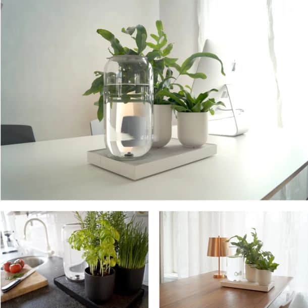 Устройство для автоматического полива комнатных растений Tableau