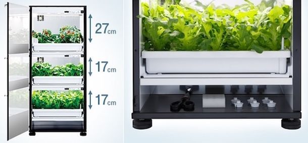 Шкаф для выращивания овощей U-ING