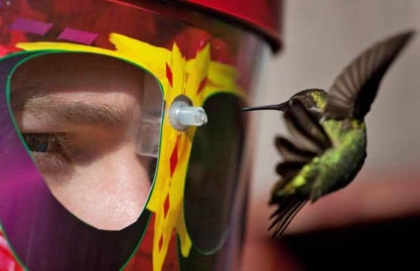 Маска для кормления колибри