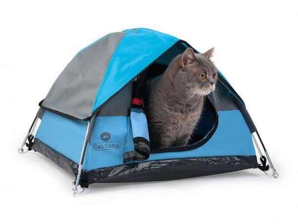 Мини-палатка для кошки