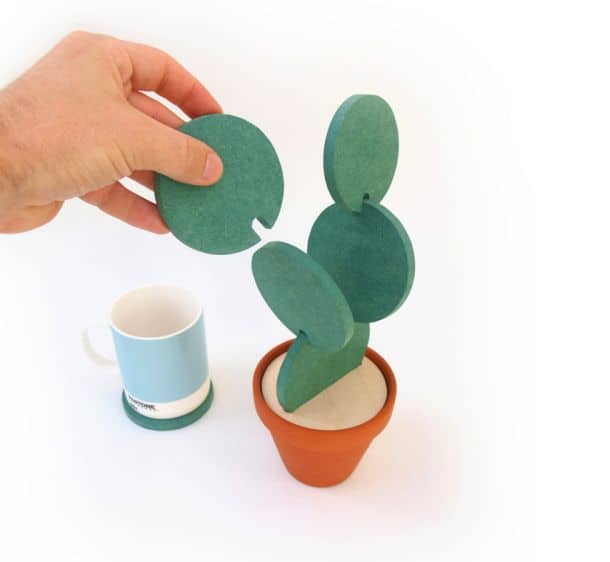 Набор костеров Cacti в виде горшочка с декоративным кактусом