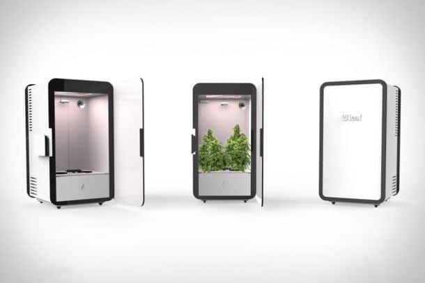 Аппарат для выращивания конопли настойка из марихуаны