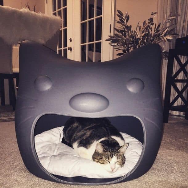 Кошачий спальный домик Kitty Meow