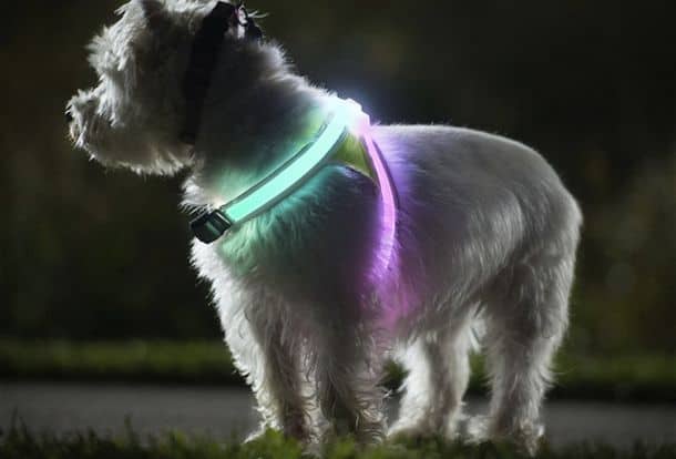Светящийся жилет для собаки LightHound