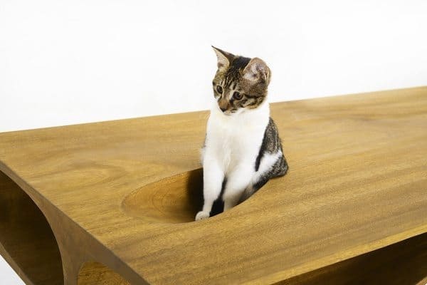 Письменный стол с ходами для кошек