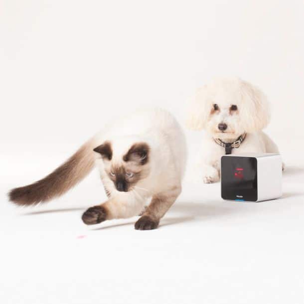 Интерактивная веб-камера для домашних животных Petcube