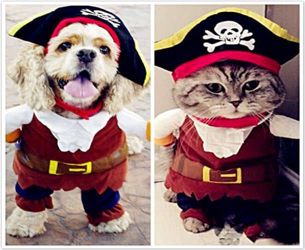 Костюм пирата для кошек и собак