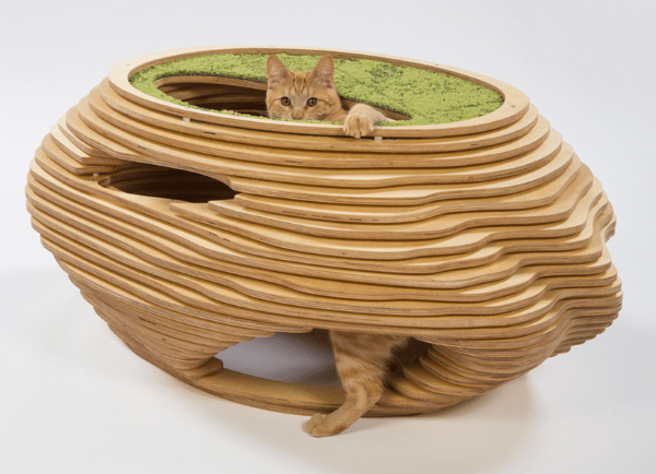 Шарообразный домик-аквариум для кошек Cat Bowl