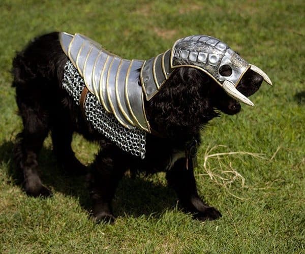 Средневековые доспехи для собак