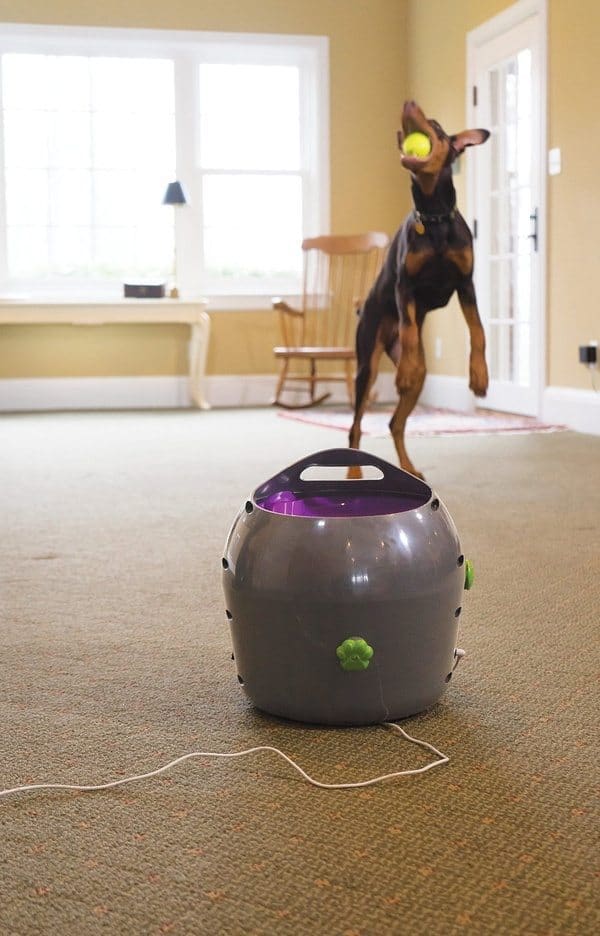 Устройство для метания мячиков PetSafe