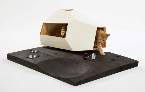 13 самых необычных домиков для кошек