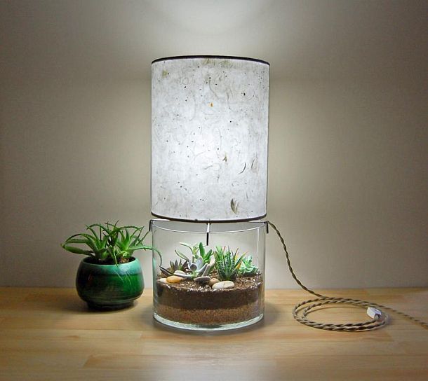 Настольная лампа с террариумом SHareStudios