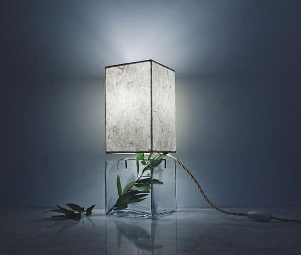 Настольная лампа с террариумом SHareStudios