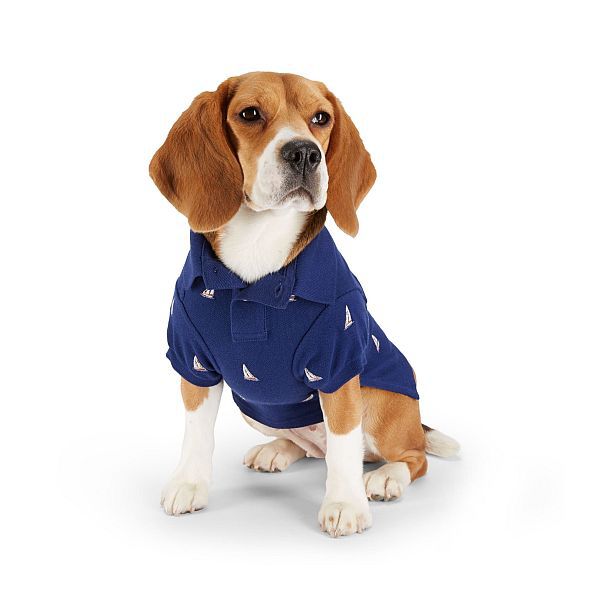 Вышитая рубашка-поло для собак от Ральфа Лорена
