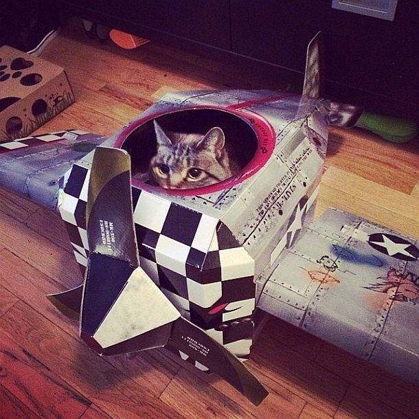 Игровой домик для кошек «Самолет»