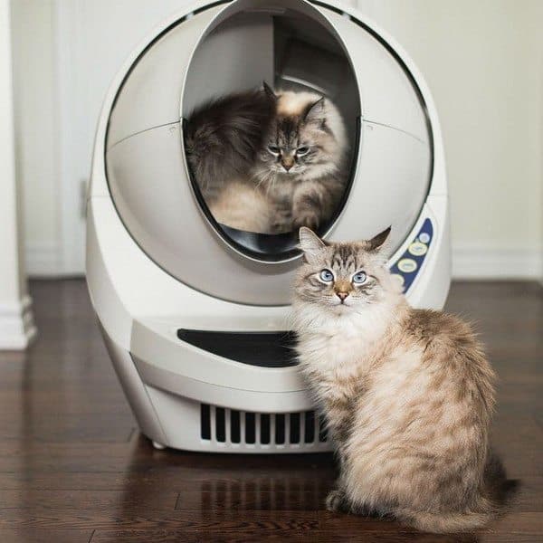 Роботизированный туалет для кошек Litter-Robot III