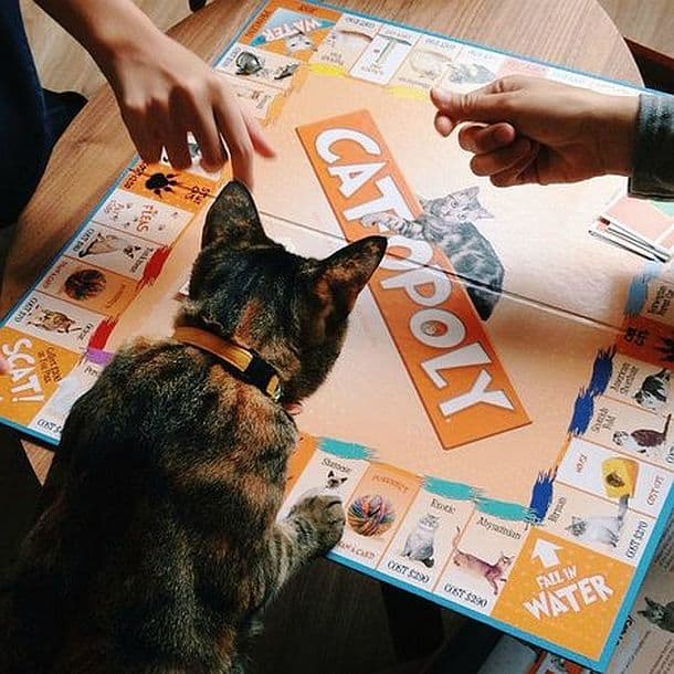 Настольная игра Cat-Opoly для любителей кошек