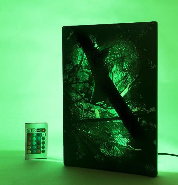 Светодиодная подсветка для картин Jade LED Canvas Art