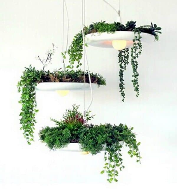 Комбинированный светильник с горшком для растений