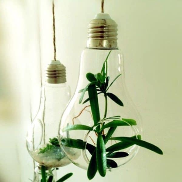 Колба для растений в виде лампы накаливания