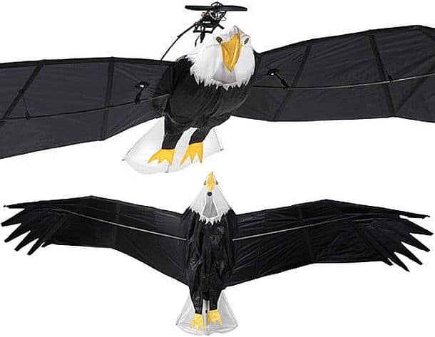 Радиоуправляемый орел Bald Eagle