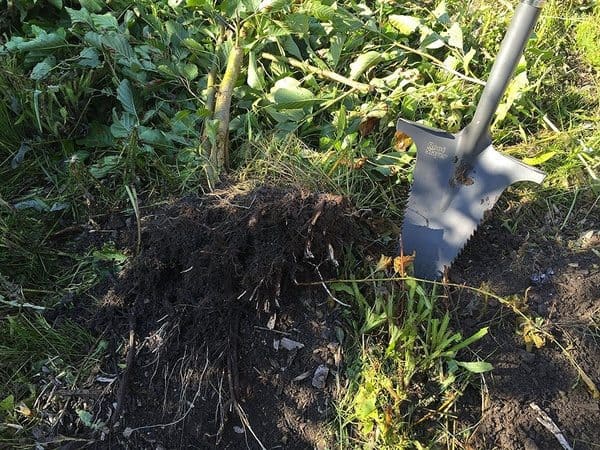 Садовая лопата для откапывания корней Radius