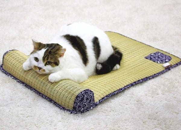 Спальный коврик для кошек в виде татами