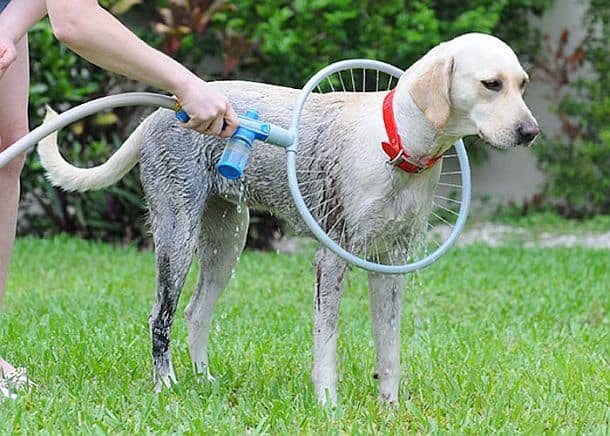 Душевая насадка для мытья собак со всех сторон