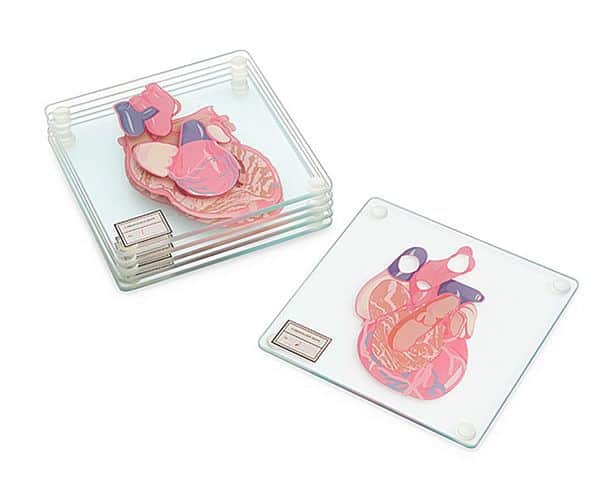 Набор подставок для стаканов, воспроизводящий анатомию сердца
