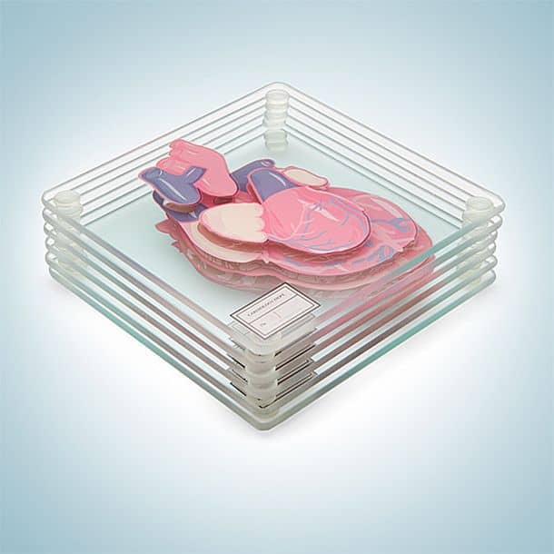 Набор подставок для стаканов, воспроизводящий анатомию сердца