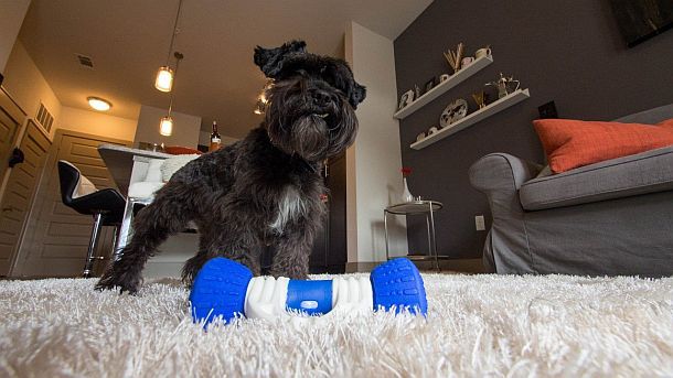 Высокотехнологичная игрушка для собак GoBone