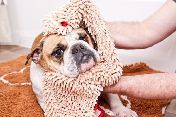 Абсорбирующее полотенце для собак Soggy Doggy
