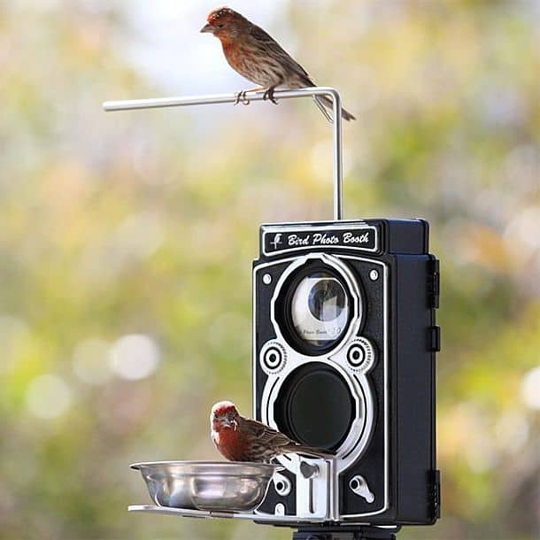 Кормушка для птиц с фотоловушкой Bird Photo Booth 2.0