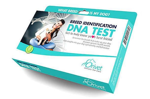 Тест для определения ДНК собаки