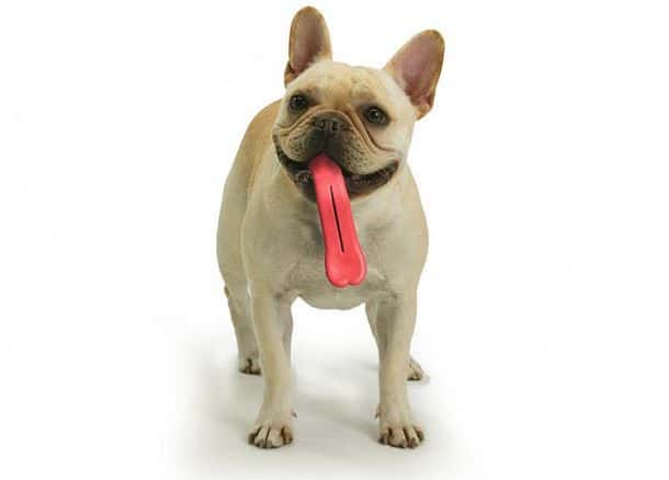 Игрушка для собак в виде мячика с гигантским языком Humunga Tongue